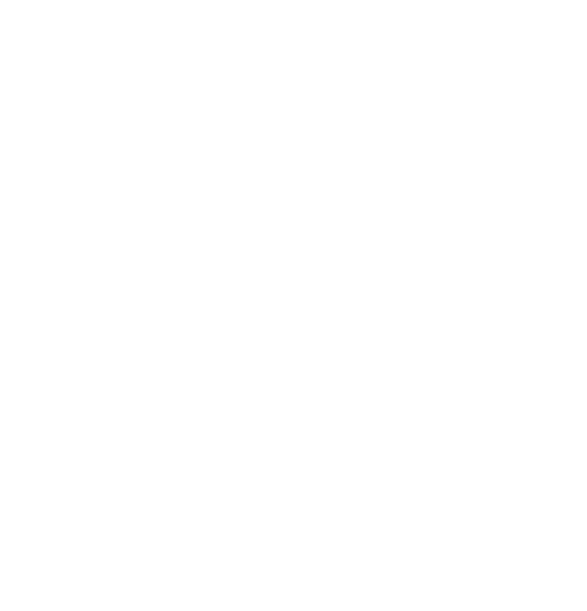 bg-logo